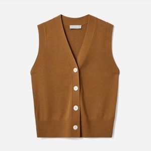 Everlane The Cotton–Merino Sweater Vest